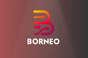 Borneo Schematics 1 User (12 Months)